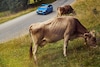 BMW X1 eDrive 25e