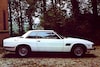 DeTomaso Longchamp