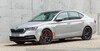 Skoda Octavia gelekt