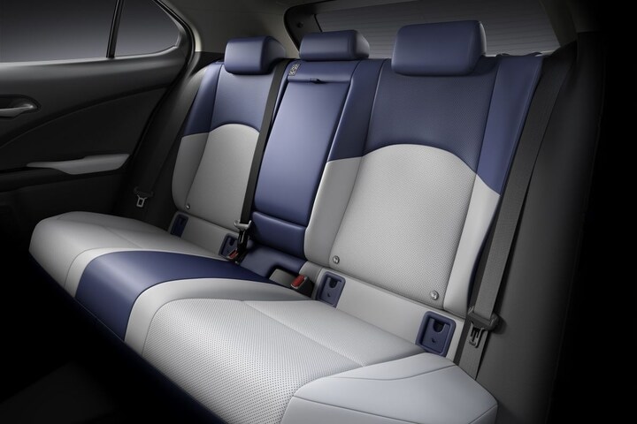 Lexus UX300e