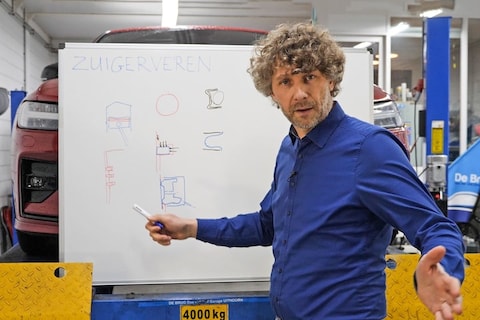 Zuigerveren - Cornelis schetst