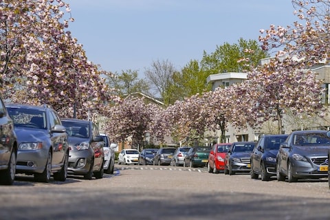 'Volvo-rijders maken het vaakst parkeerschades'