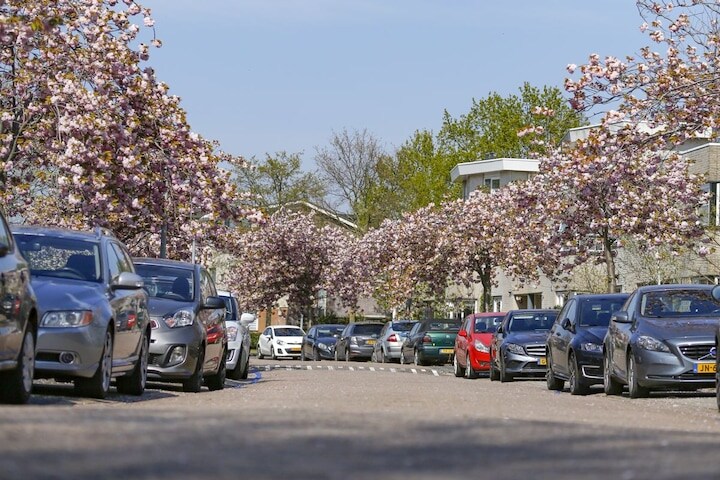 Nederland lente  woonwijk parkeren straat