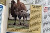 AutoWeek 23 1990