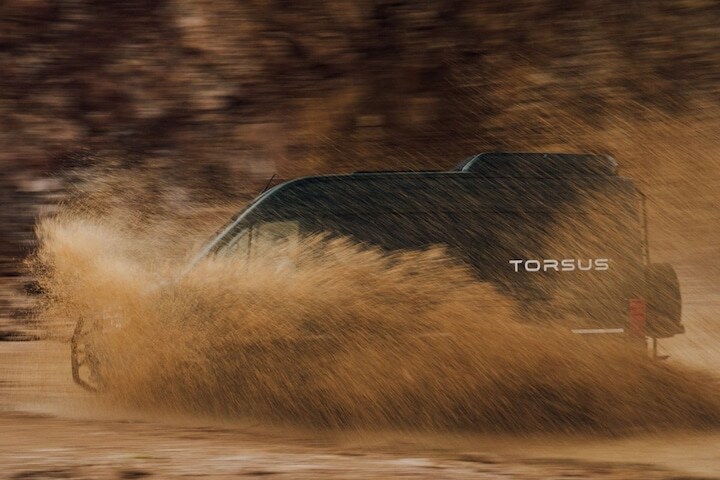 Torsus Terrastorm