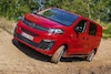 Opel Vivaro 4X4 Dangel Cargo