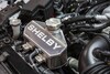 Shelby GT500 Signature Edition