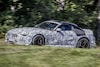 Mercedes-Benz SL camouflage