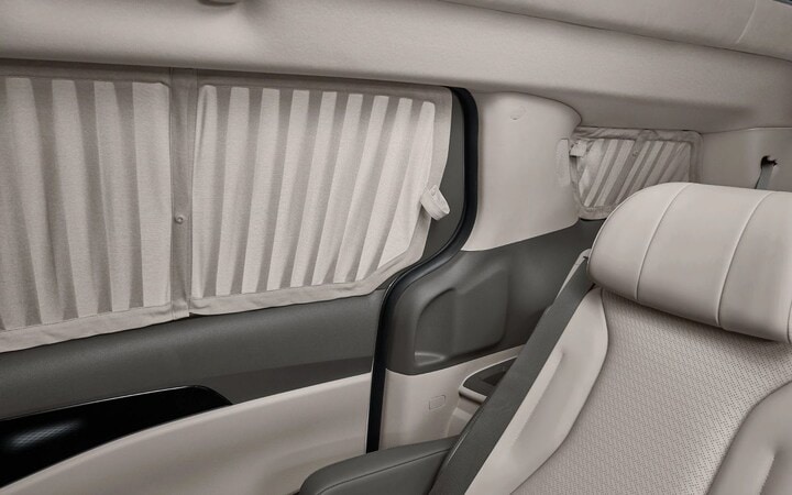 Kia Carnival Hi-Limousine