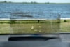 head-up display