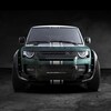 Carlex Design Defender