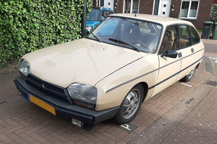 In het wild Citroën GSA