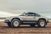 Singer All-Terrain Competition Study