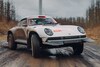 Singer All-Terrain Competition Study