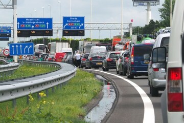 Verkiezingen
