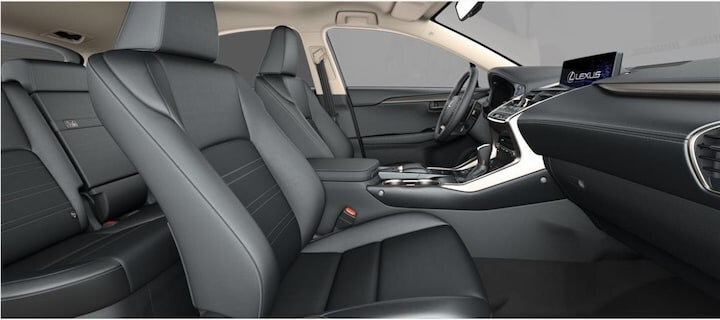 Lexus NX Back to Basics
