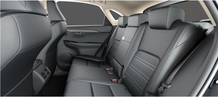 Lexus NX Back to Basics