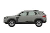 Patentplaten Dacia Bigster