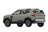 Patentplaten Dacia Bigster