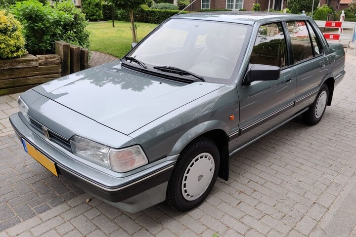 Rover 213 In het Wild