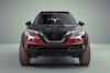 Nissan Juke Rally Tribute