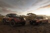 Nissan Juke Rally Tribute