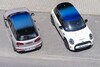 Mini Multitone Roof