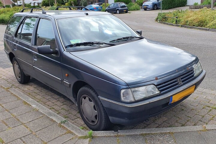 In het Wild Peugeot 405
