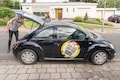 zgan new beetle