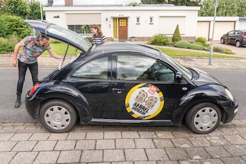 zgan new beetle