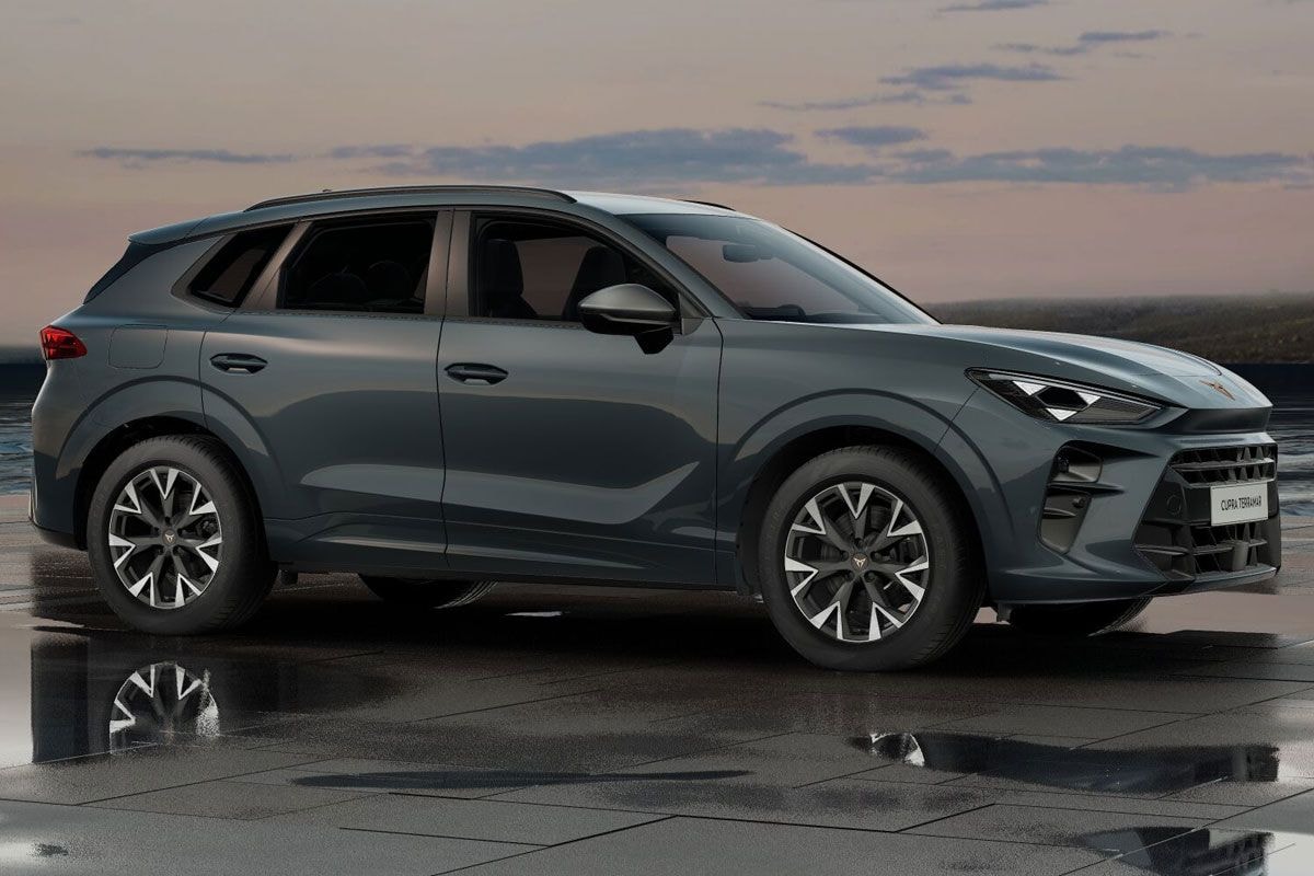 Back to Basics Cupra Terramar