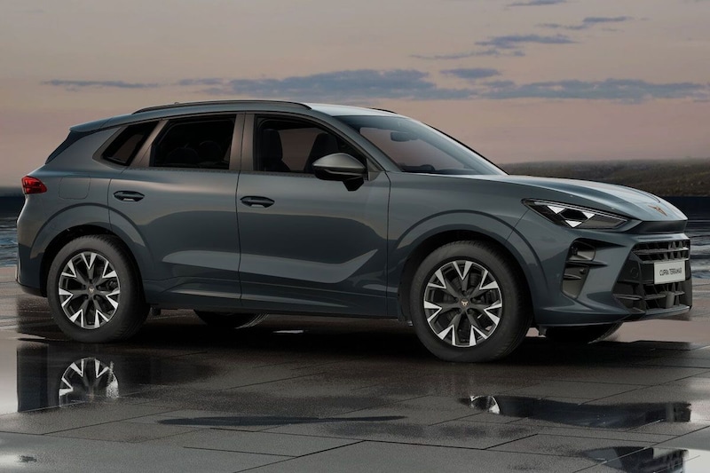 Back to Basics Cupra Terramar