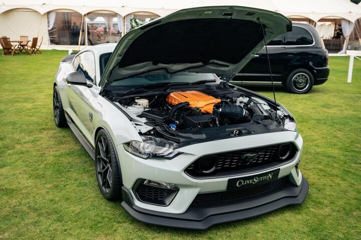 Ford Mustang Sutton Mach 1 767