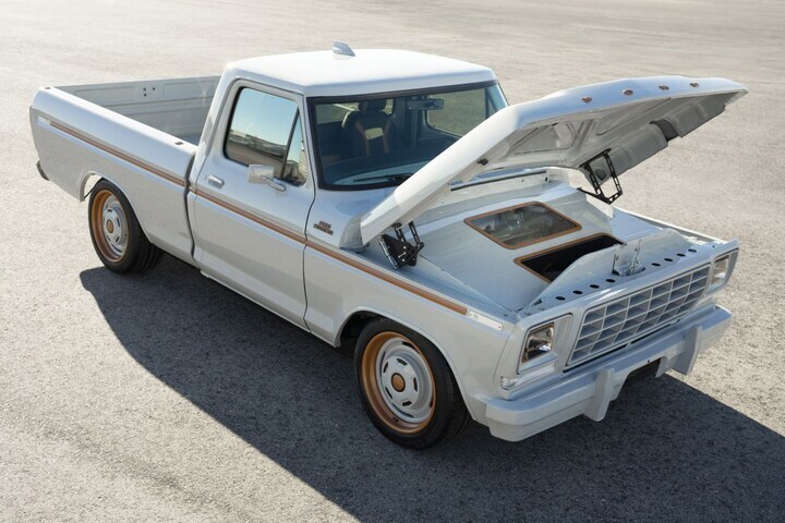 Ford F-100 Eluminator