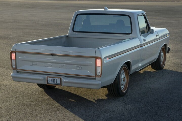 Ford F-100 Eluminator