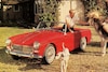 MG Midget