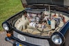 Elektrische Trabant
