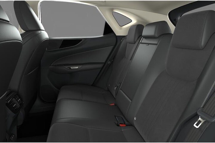 Lexus NX 2021 Back to Basics