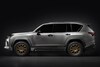 Lexus offroad