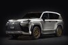 Lexus offroad