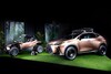 Lexus offroad