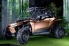 Lexus offroad