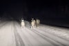 Tesla Model 3 Scandinavië Noorderlicht