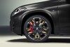 BMW X2 Goldplay