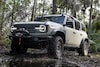 Ford Bronco Everglades