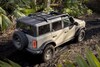 Ford Bronco Everglades