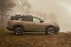 Nissan Pathfinder Rock Creek