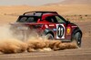 Nissan Juke Rally Tribute