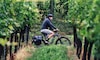 E-bikes als alternatief individueel vervoer