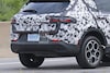 Spyshots Dodge Hornet